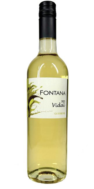 2021 Fontana Vidal