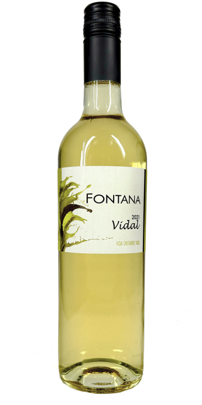 2021 Fontana Vidal
